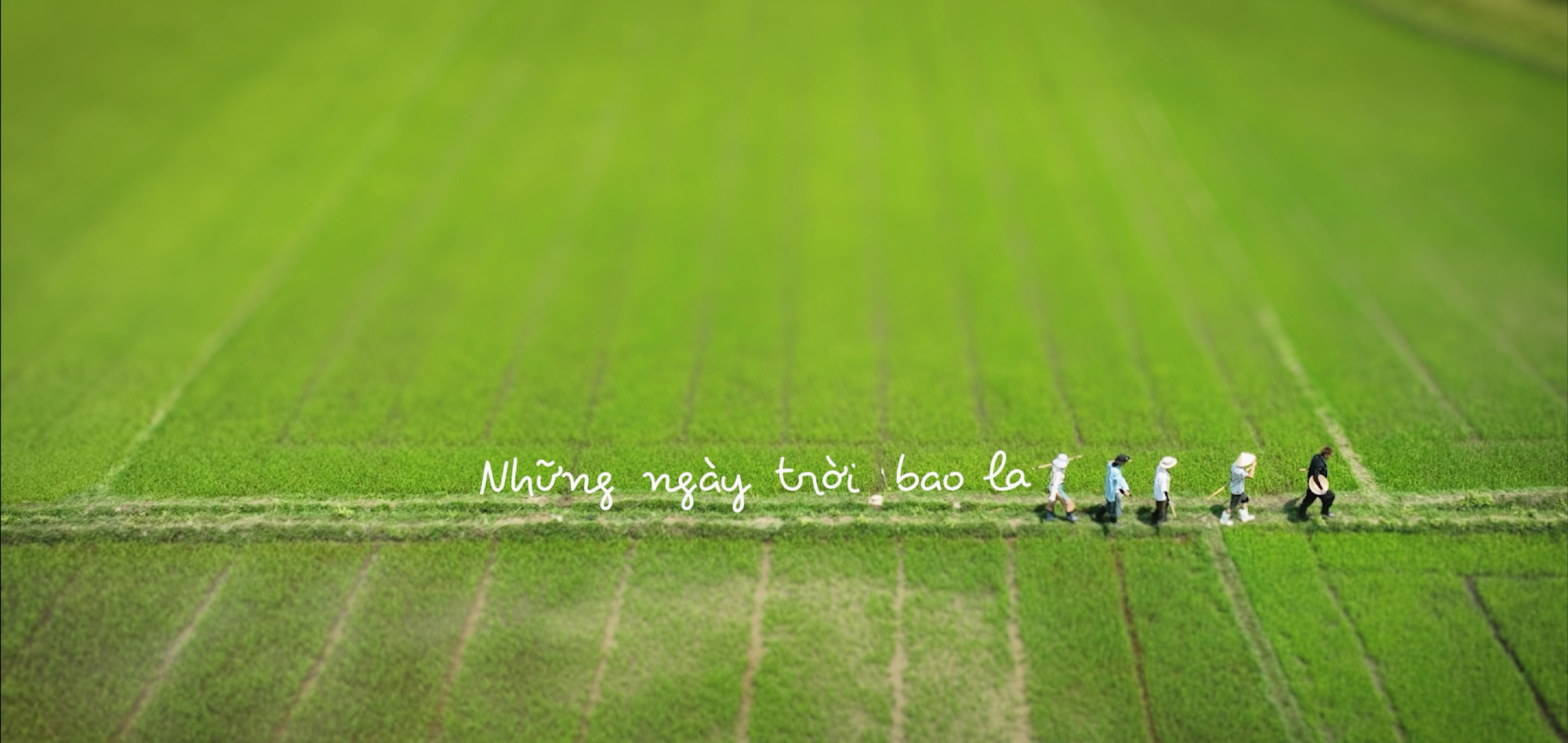 hinh-anh-tu-mv-ca-khuc-chu-de-nhung-ngay-troi-bao-la.jpg