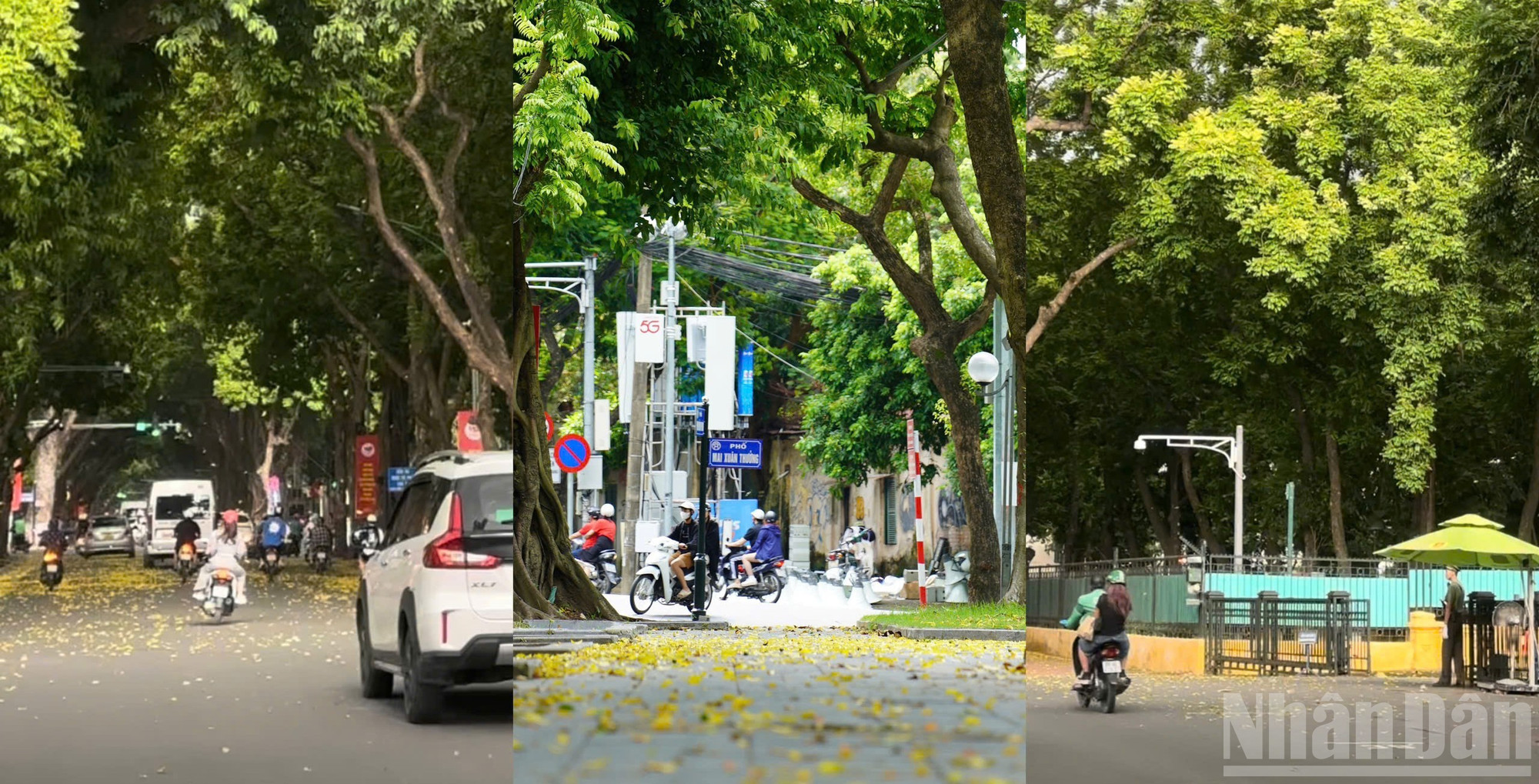 Phan Đình Phùng - Công viên Bách thảo. ndo_br_z6938803155651-63854e16fab4a6bc254ec3cd63bc0bd5.jpg