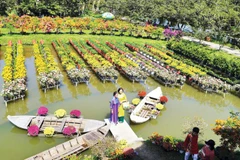 Du khách tham quan điểm du lịch Vườn hồng Tư Tôn tại làng hoa Sa Đéc.