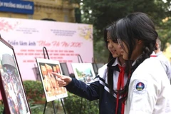 Các em học sinh say sưa ngắm những tác phẩm trong triển lãm.