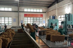 Công nghiệp cao-su Quảng Ngãi đổi mới và nâng cao chất lượng