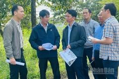 Thanh tra tỉnh Quảng Ngãi tăng cường công tác thanh tra chuyên ngành và cơ sở.