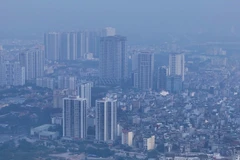 (Ảnh minh họa nhandan.vn)