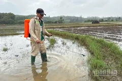 Sử dụng chế phẩm sinh học xử lý ô nhiễm do tràn dầu.
