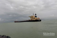 Tàu STAR BUENO có 22 thuyền viên hành trình từ Nam Phi đi cảng Dung Quất bị mắc cạn.