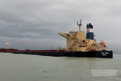 Tàu Star Bueno mắc cạn tại vùng biển Dung Quất hơn 1 tuần qua.