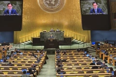 Ảnh minh họa. (Nguồn: TTXVN)