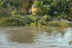 Sạt lở gây ngập vườn cây ăn trái. (Ảnh: BÁ DŨNG)