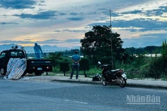 Cán bộ thú y đưa lợn dịch bệnh ra khu vực bãi sông Trà Khúc xử lý vì không có nơi chôn lấp, tiêu hủy.
