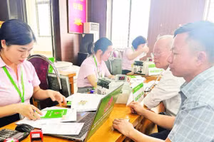 Cán bộ Phòng Giao dịch Ngân hàng Chính sách xã hội Tam Đảo hướng dẫn người dân vay vốn.