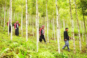 Người dân xã Bum Tở đi tuần rừng để kiểm tra, phát hiện sớm nguy cơ và chủ động phòng chống cháy rừng.