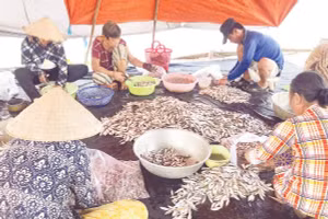 Nguồn thủy sản dồi dào trong mùa nước nổi giúp người dân có thêm thu nhập.