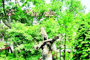 Tượng Cao Lỗ, một vị tướng dưới thời An Dương Vương đã chế tạo ra nỏ thần.