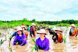 Người dân đầu tư, phát triển du lịch sinh thái bên cù lao Lá (ấp Tân Quý, xã Mỹ Chánh Hòa, tỉnh Vĩnh Long).