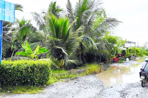 Mặt đường ô-tô về trung tâm xã Tân Tiến hầu như không còn chỗ lành, phương tiện lưu thông phải nhích từng chút vì không còn con đường nào khác về xã.