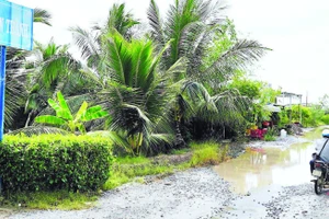 Mặt đường ô-tô về trung tâm xã Tân Tiến hầu như không còn chỗ lành, phương tiện lưu thông phải nhích từng chút vì không còn con đường nào khác về xã.