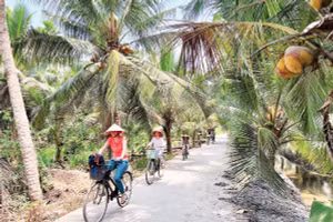 Tỉnh Vĩnh Long phát triển du lịch theo hướng xanh, bền vững.