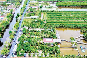 Vùng nông thôn Cà Mau sau khi sắp xếp sẽ được mở rộng không gian, thuận lợi hơn trong việc đầu tư hạ tầng thiết yếu phục vụ dân sinh.