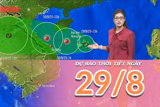 [Video] Dự báo thời tiết ngày 29/8/2025: Mưa gia tăng trên các khu vực