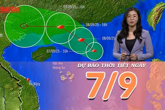 [Video] Dự báo thời tiết ngày 7/9/2025: Bão số 7 gây gió mạnh, sóng lớn trên biển
