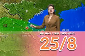 [Video] Dự báo thời tiết ngày 25/8/2025: Bão số 5 tiến vào đất liền