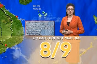 [Video] Dự báo thời tiết đêm nay và ngày mai 8/9/2025: Bão số 7 tiếp tục mạnh lên