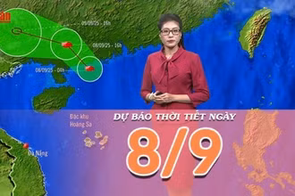 [Video] Dự báo thời tiết ngày 8/9/2025: Bão số 7 đi vào đất liền