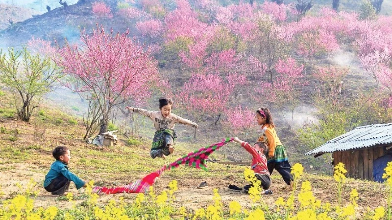 Nhiếp ảnh gia 'săn hoa' mùa Tết: Lưu giữ ký ức văn hóa qua ống kính