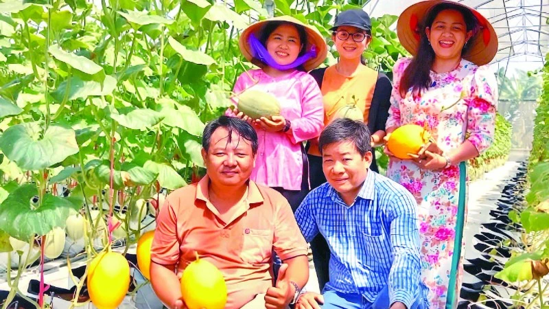 Chuyển đổi số trong nông nghiệp: Hiệu quả rõ nét từ thực tiễn tại Tây Ninh