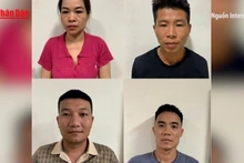 [Video] Triệt phá đường dây tuồn thịt nhiễm dịch tả lợn châu Phi tại Thanh Hóa