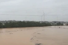 [Video] Gần 63.000 ha đất nông nghiệp Trung Bộ bị ngập úng do ảnh hưởng bão số 1
