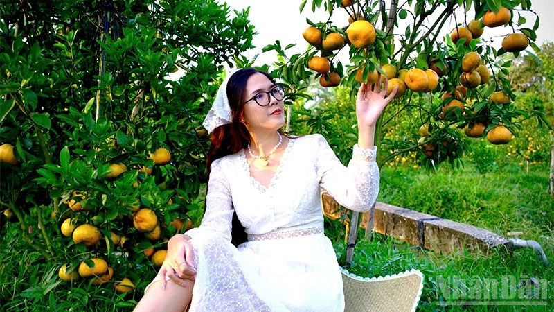 Điểm tham quan vườn quýt hồng Bá Chuốt ngày đầu mở cửa phục vụ khách.