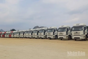 Ô-tô nhập khẩu qua Cửa khẩu quốc tế Tà Lùng, xã Phục Hòa, tỉnh Cao Bằng.