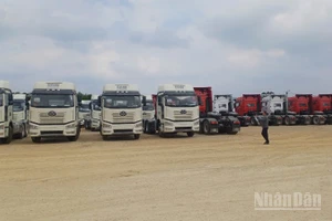 Ô-tô nhập khẩu qua Cửa khẩu quốc tế Tà Lùng, xã Phục Hòa, tỉnh Cao Bằng.