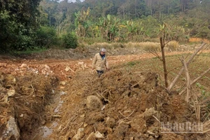 Sáng 9/1, tại hiện trường, phóng viên Báo Nhân Dân thấy vắng bóng nhân lực và thiết bị của đơn vị thi công.