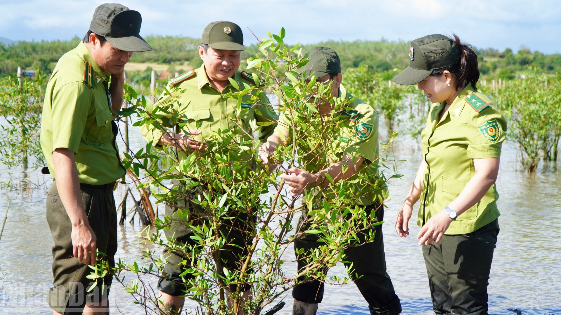 Các cán bộ ngành Lâm nghiệp tỉnh Đắk Lắk kiểm tra tốc độ phục hồi của cây đước vòi.