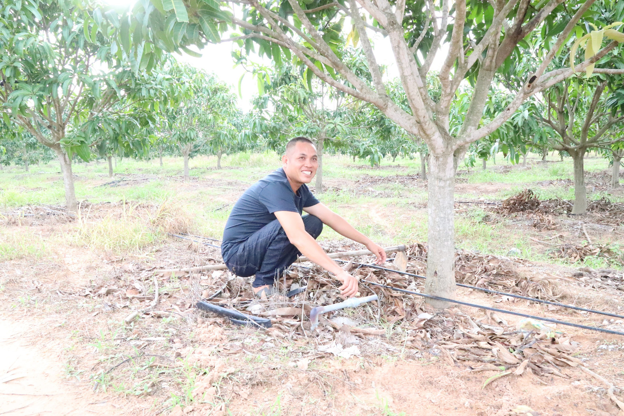 នៅឆ្នាំ 2022 លោក Dang Van Thuong បានទទួលប្រាក់កម្ចីចំនួន 60 លានដុងពីធនាគារគោលនយោបាយសង្គមស្រុក Ea Sup ដើម្បីវិនិយោគលើប្រព័ន្ធធារាសាស្ត្រ និងជីសម្រាប់ថែរក្សាសួនស្វាយរបស់គាត់។ img-0300.jpg