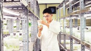Đại học Duy Tân đẩy mạnh hoạt động nghiên cứu khoa học. (Ảnh MINH CHUNG)