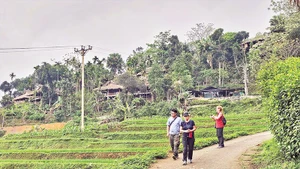 Du khách nước ngoài trải nghiệm, khám phá hệ sinh thái ở Pù Luông, tỉnh Thanh Hóa
