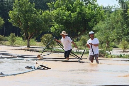 Người dân khắc phục thiên tai.