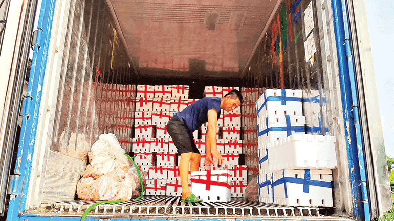 Đóng gói vải thiều để vận chuyển vào thị trường Thành phố Hồ Chí Minh tại thôn Quất Du. untitled-13.png