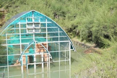 Tháp Chăm Phú Diên đã bị bị ngập nước kéo dài.