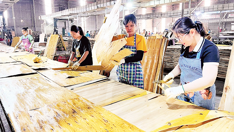 Sản xuất tại Công ty TNHH Lechenwood Việt Nam trong Khu công nghiệp Thanh Bình.