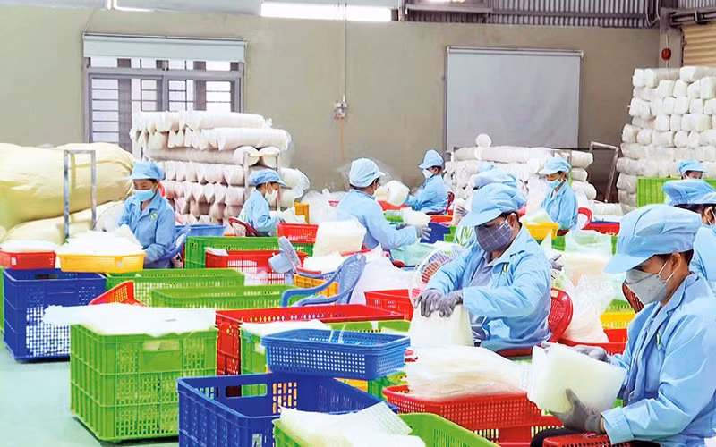 Các cơ sở sản xuất bánh tráng ở Tây Ninh hối hả sản xuất để cung ứng thị trường Tết.