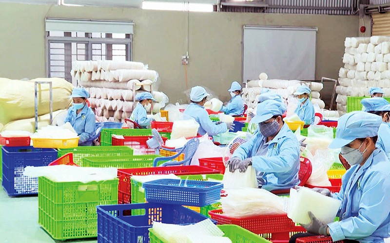 Các cơ sở sản xuất bánh tráng ở Tây Ninh hối hả sản xuất để cung ứng thị trường Tết.