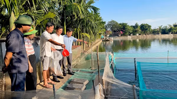 Mô hình kinh tế tổng hợp của anh Nguyễn Mạnh Hảo, thôn Tiền Phong, giúp nâng cao hiệu quả kinh tế trên diện tích đất ruộng sản xuất kém hiệu quả trước đây. (Ảnh: YẾN TRINH)