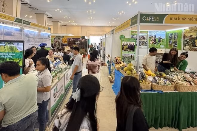 Diễn đàn và Triển lãm Nông nghiệp Campuchia 2025 (CAFE25) được tổ chức từ ngày 13-16/11 tại Thủ đô Phnom Penh. (Ảnh: ĐINH TRƯỜNG)