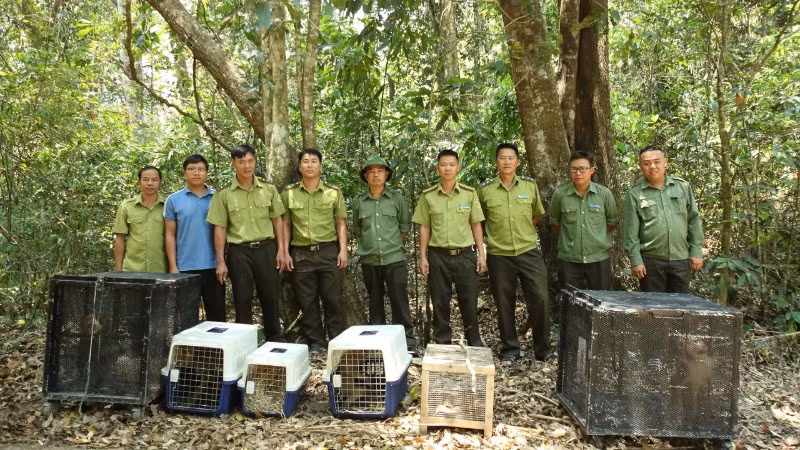 Lực lượng chức năng tổ chức đi thả 6 cá thể động vật hoang dã về với tự nhiên tại Vườn quốc gia Chư Yang Sin.