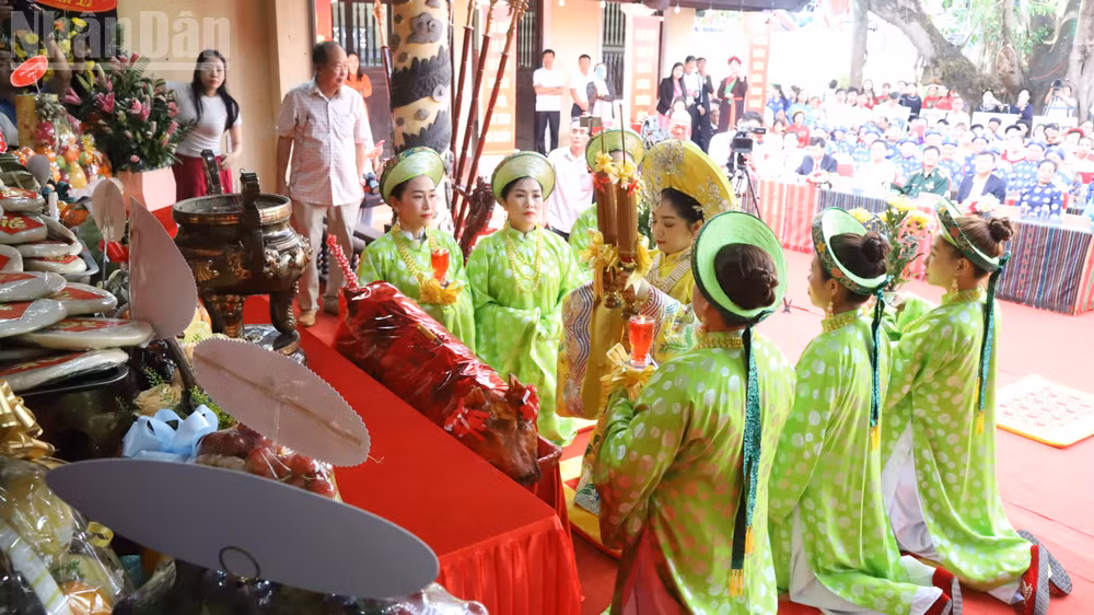 ndo_tl_img-7558.jpg