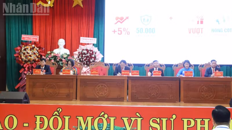 ndo_tl_img-1210-8039.jpg